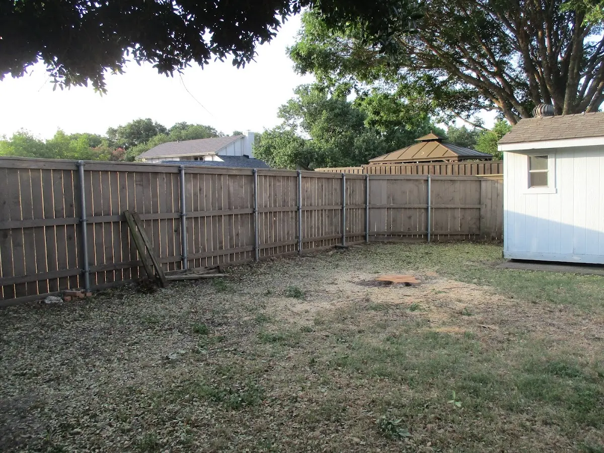 Cleared yard after professional tree removal in Island Park